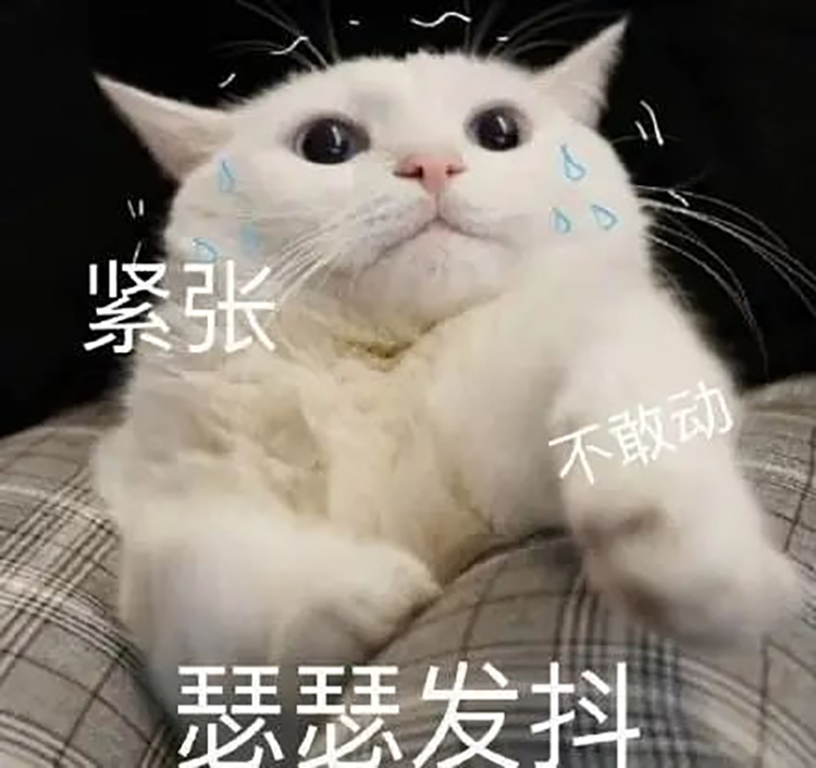 紧张，害怕